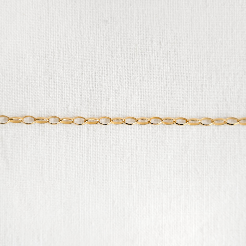 Dionysus Chain Necklace - 14K Rolo Chain Necklace