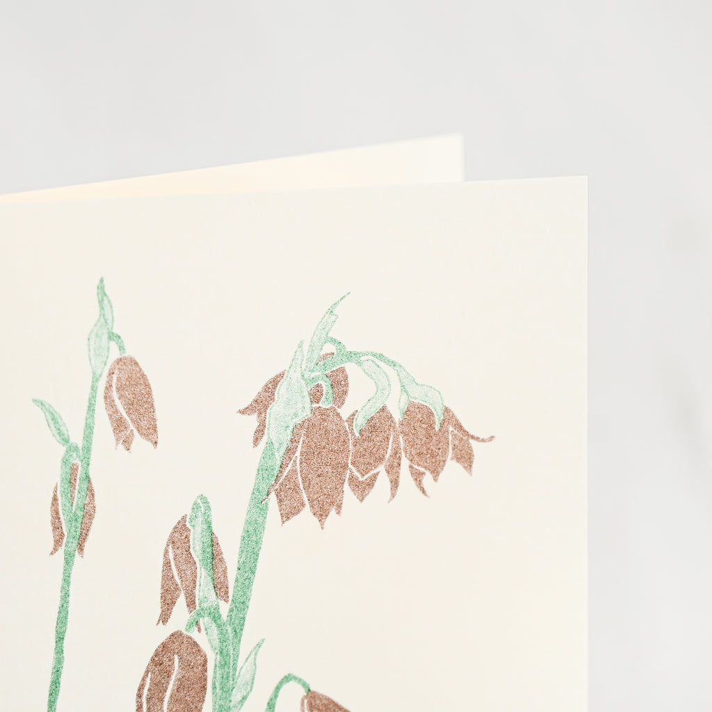 Charlotte Beavers Flower Cards - 5 Pack