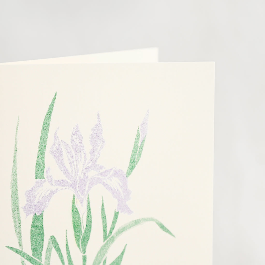 Charlotte Beavers Flower Cards - 5 Pack