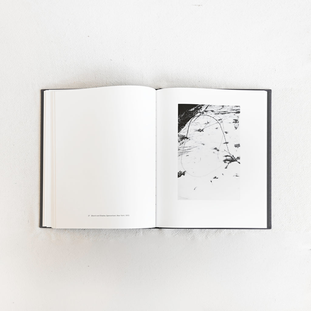 Shape, Ground, Shadow: The Photographs of Ellsworth Kelly