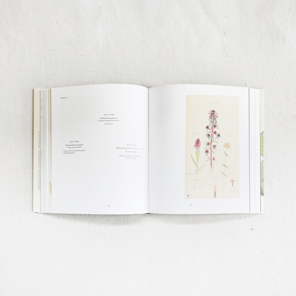 Hilma Af Klint - What Stands Behind The Flowers