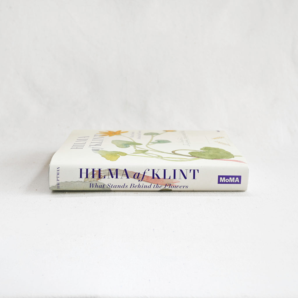 Hilma Af Klint - What Stands Behind The Flowers