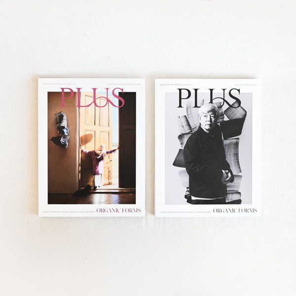 Plus Magazine Issue 6