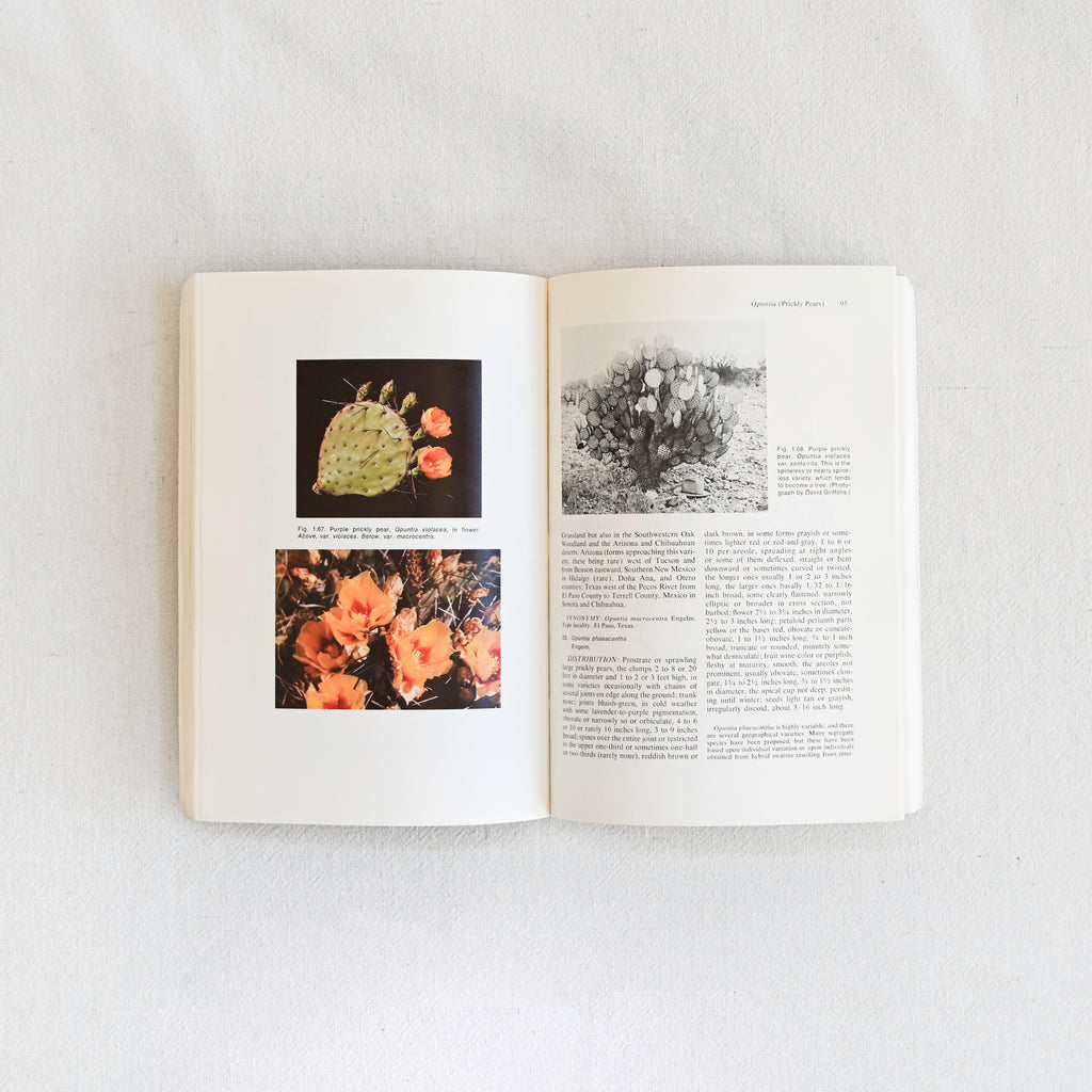 Vintage Book - The Cacti of Arizona