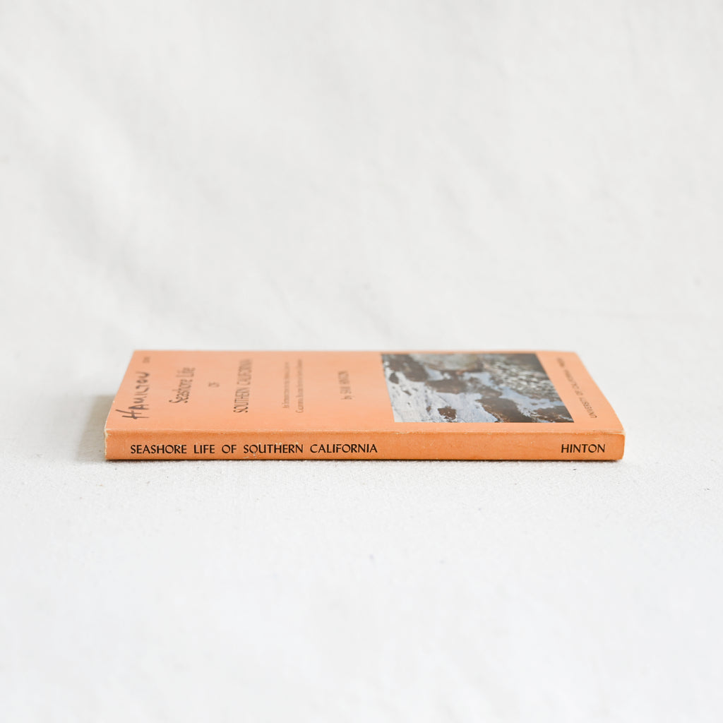 Seashore Life of Southern California