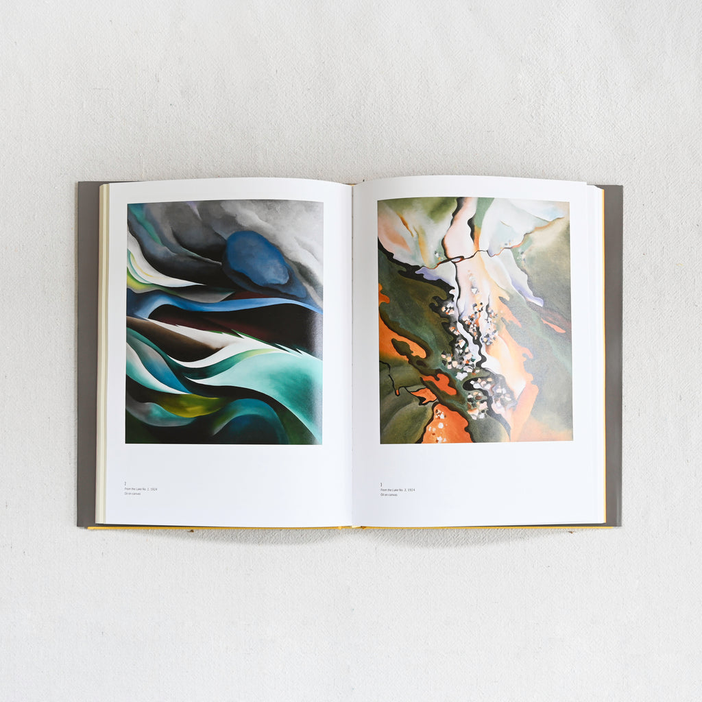 Georgia O'Keeffe - My New Yorks
