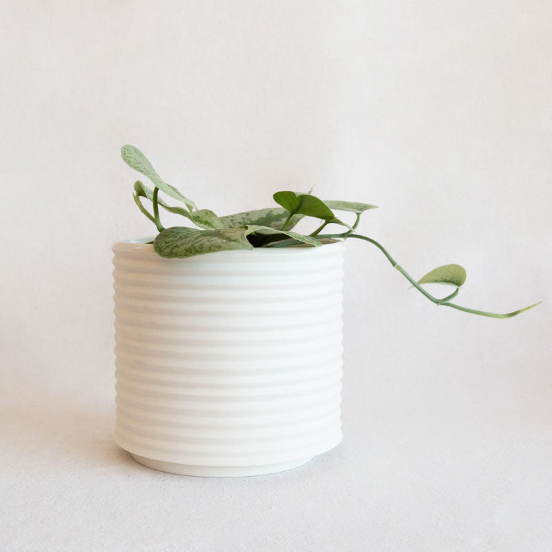 Oblique Planter - Natural