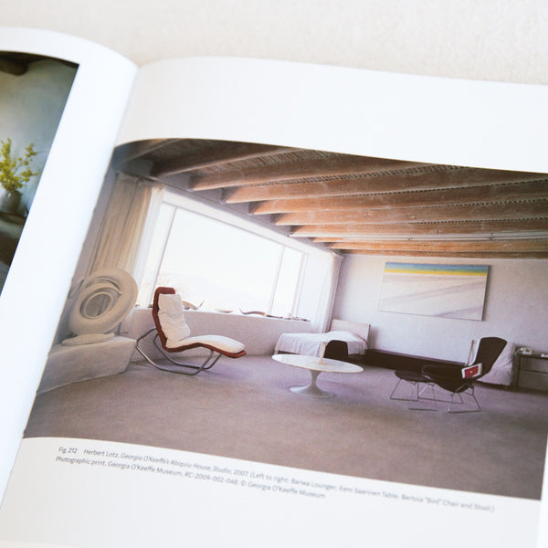 アート・デザイン・音楽 GEORGIA O'KEEFFE LIVING MODERN Georgia O'Keeffe Living Modern by Wanda M.Corn at General Store