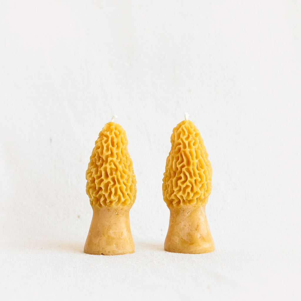 Morel Mushroom Beeswax Candle - Yellow