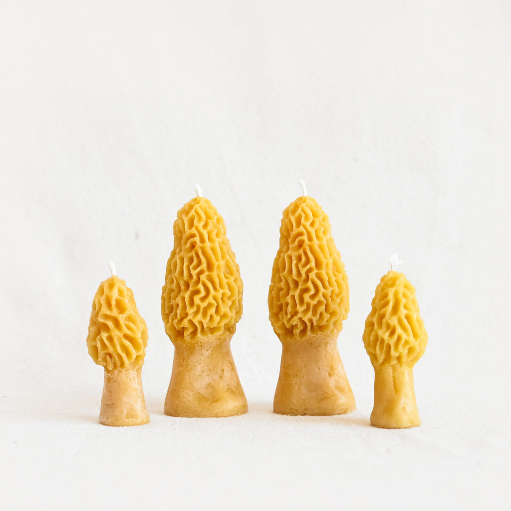 Morel Mushroom Beeswax Candle - Yellow