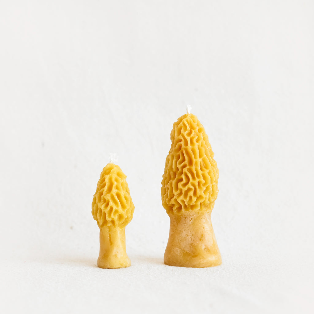 Morel Mushroom Beeswax Candle - Yellow