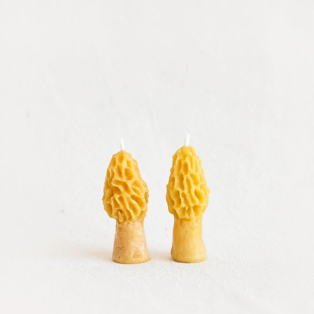 Morel Mushroom Beeswax Candle - Yellow