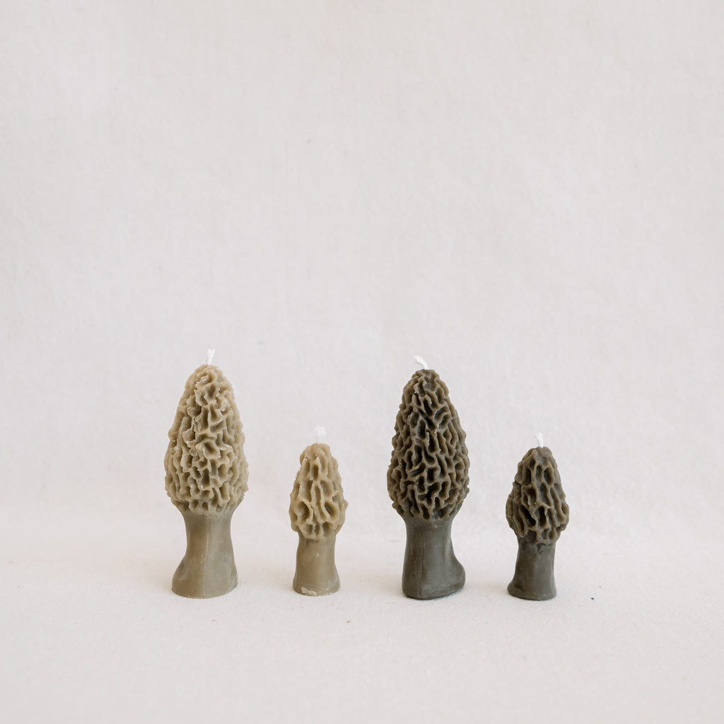 Morel Mushroom Beeswax Candle