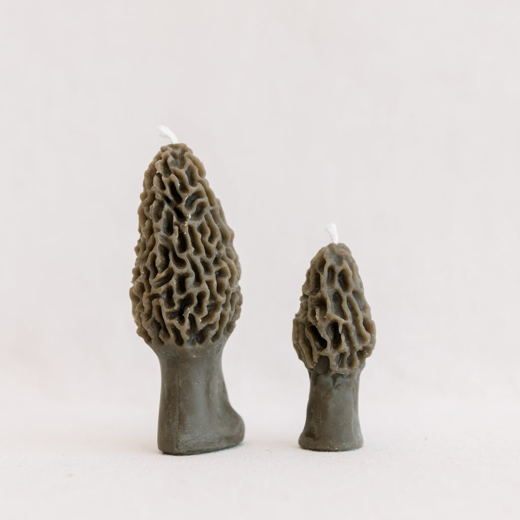 Morel Mushroom Beeswax Candle