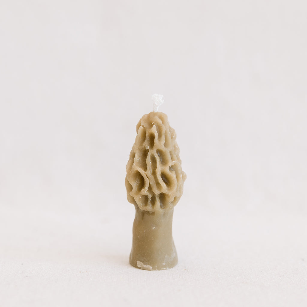 Morel Mushroom Beeswax Candle
