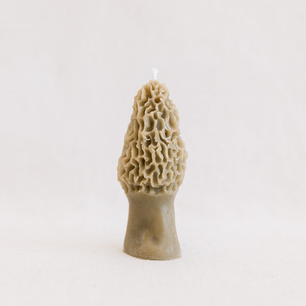 Morel Mushroom Beeswax Candle