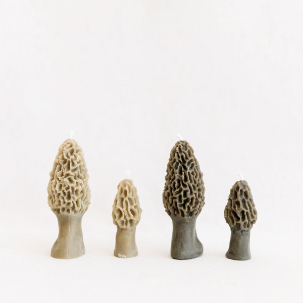 Morel Mushroom Beeswax Candle