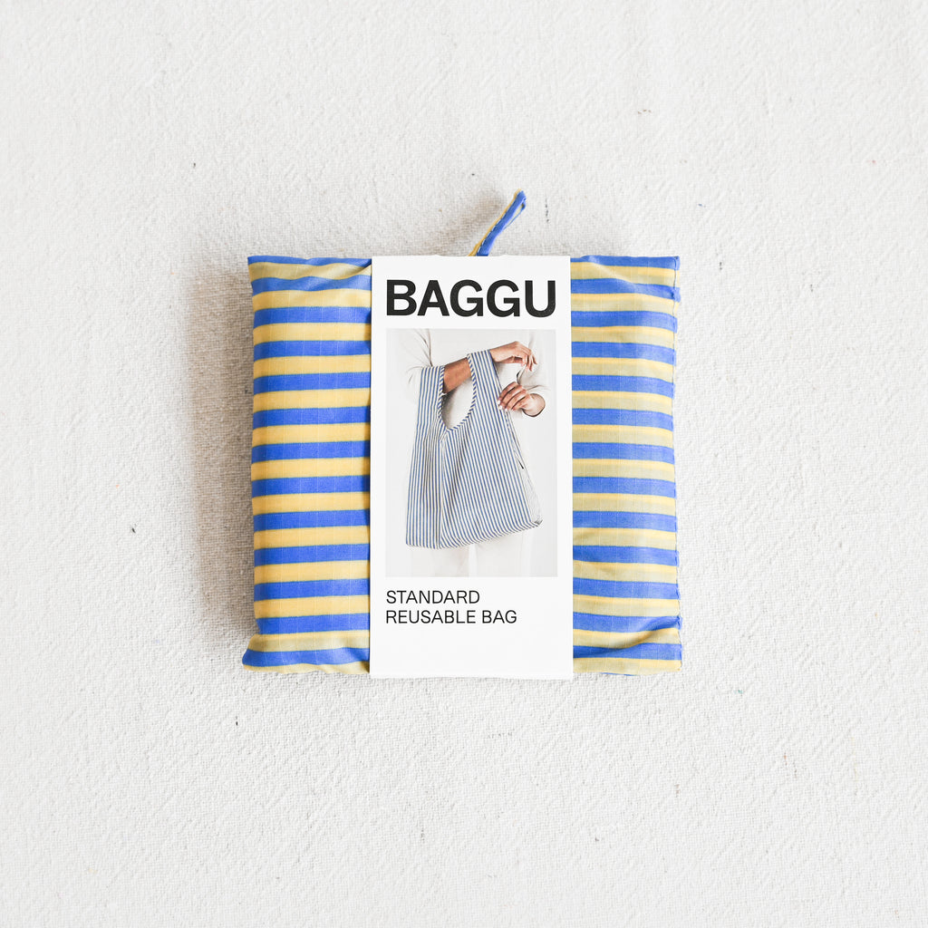 Standard Baggu - Blue Thin Stripe