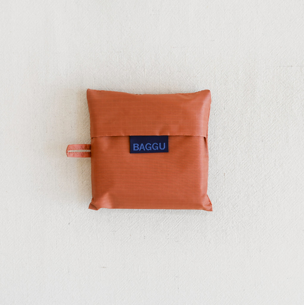 Standard Baggu - Terracotta