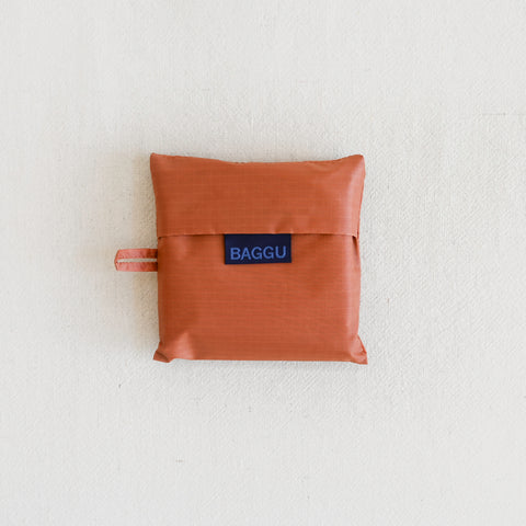 Standard Baggu - Terracotta