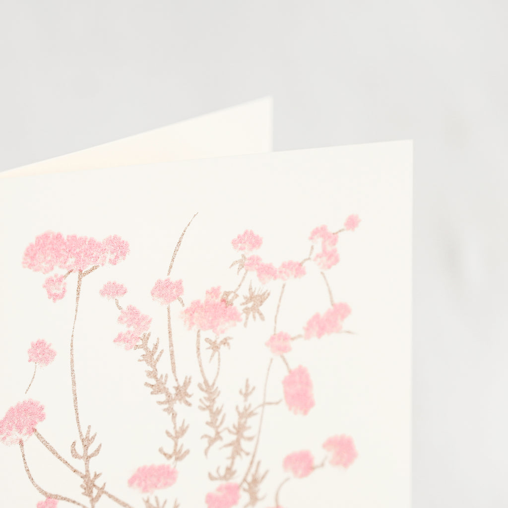 Charlotte Beavers Flower Cards - 5 Pack