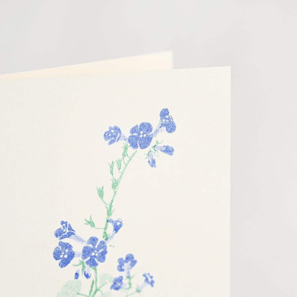 Charlotte Beavers Flower Cards - 5 Pack