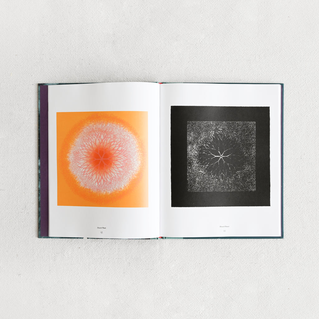 Ruth Asawa: The Tamarind Prints