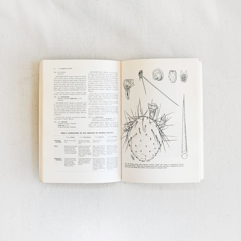 Vintage Book - The Cacti of Arizona