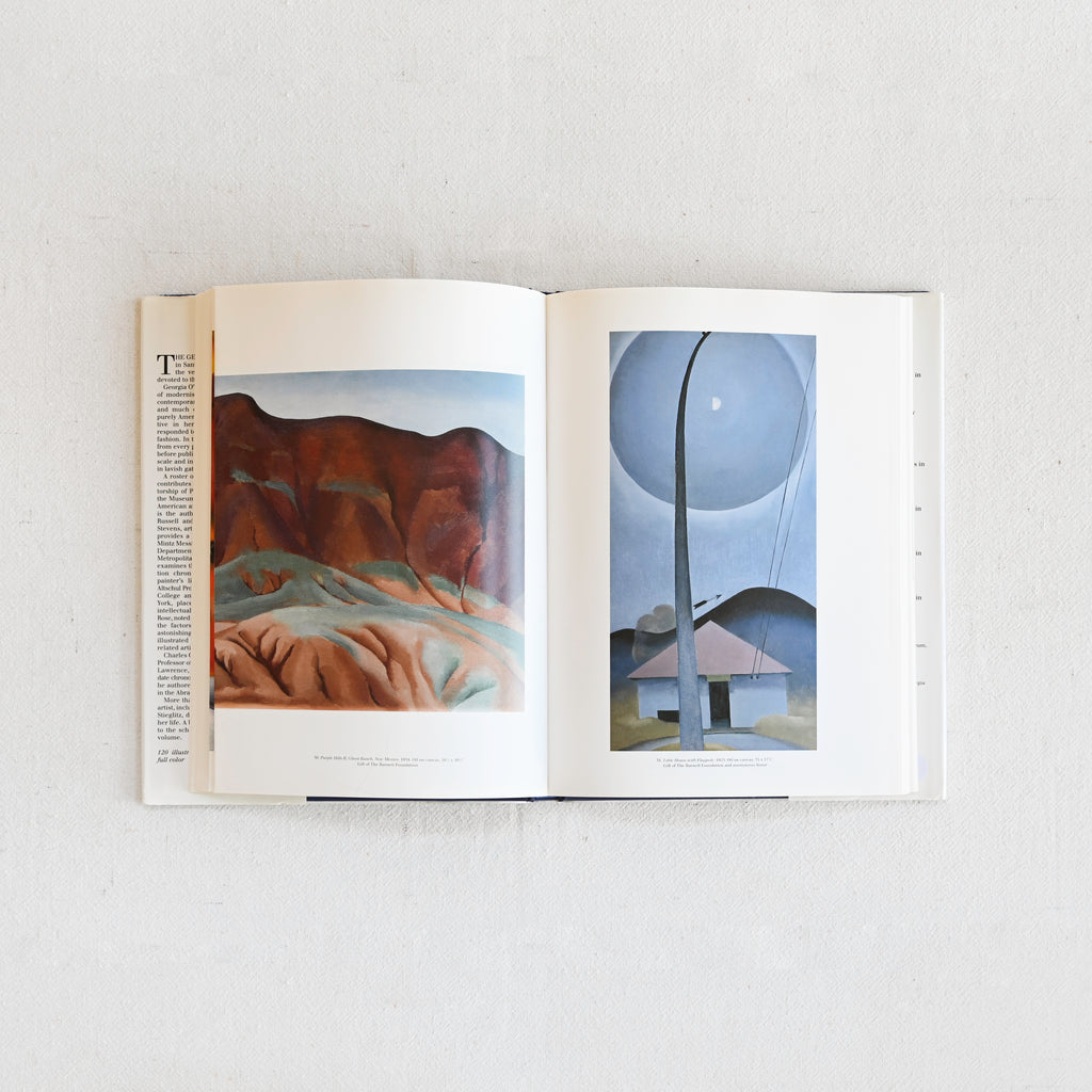 The Georgia O'Keeffe Museum