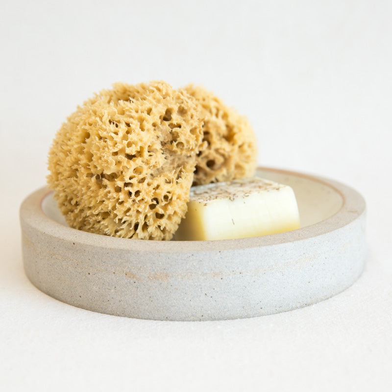 Mediterranean or Caribbean Sea Sponges? - The Natural Intimacy Brand
