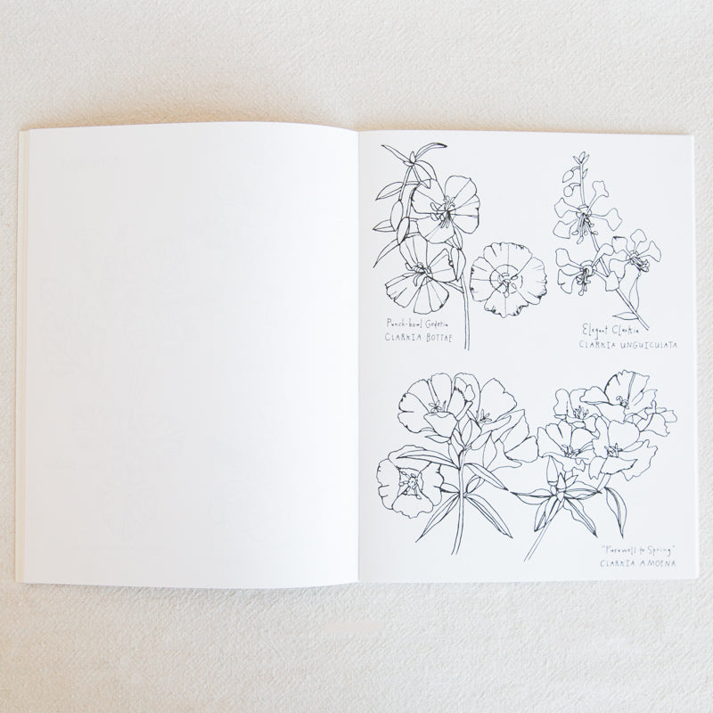 Buds Along the Path Coloring Book
