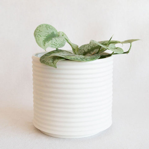 Oblique Planter - Natural