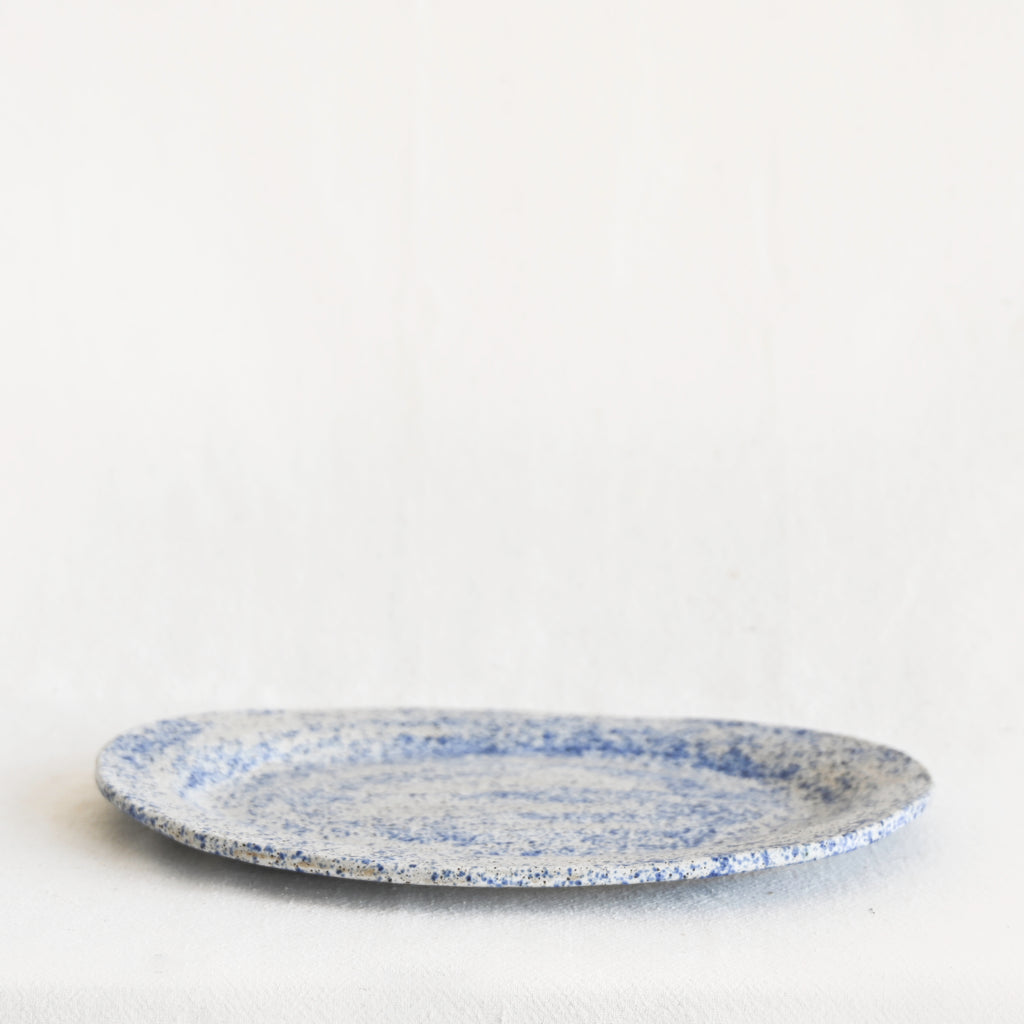 Speckled Platter - Blue