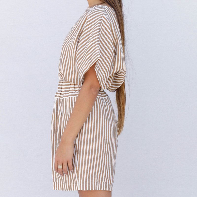 Carpenter Shorts - Thin Stripe