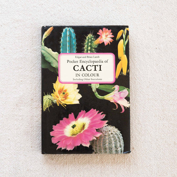Cacti In Colour