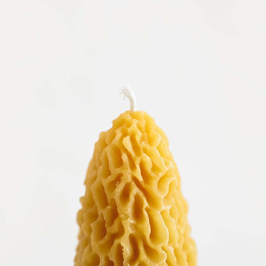 Morel Mushroom Beeswax Candle - Yellow