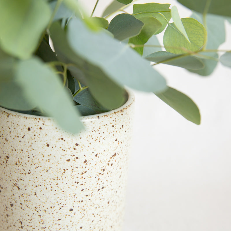 Tawa Vase - Sandstone