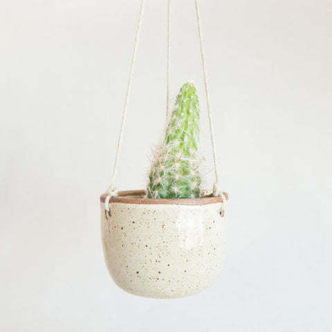 Hanging Planter