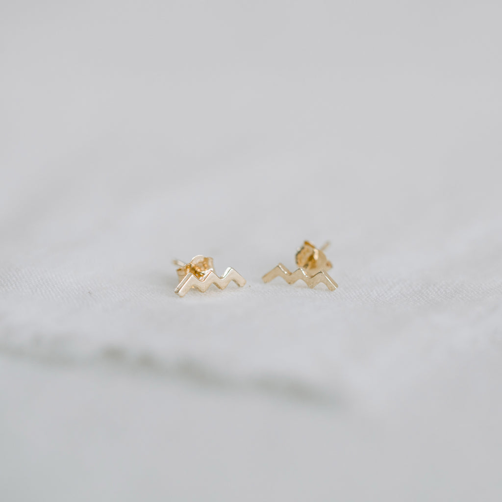 WW Earring