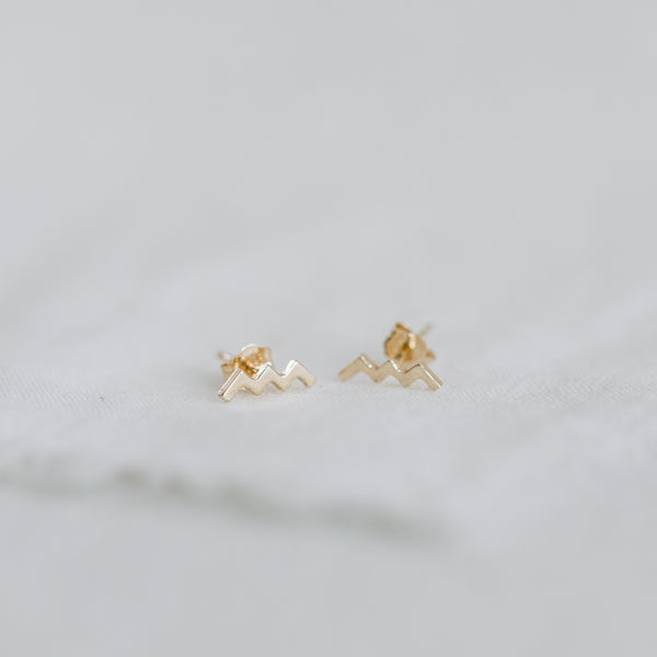 WW Earring