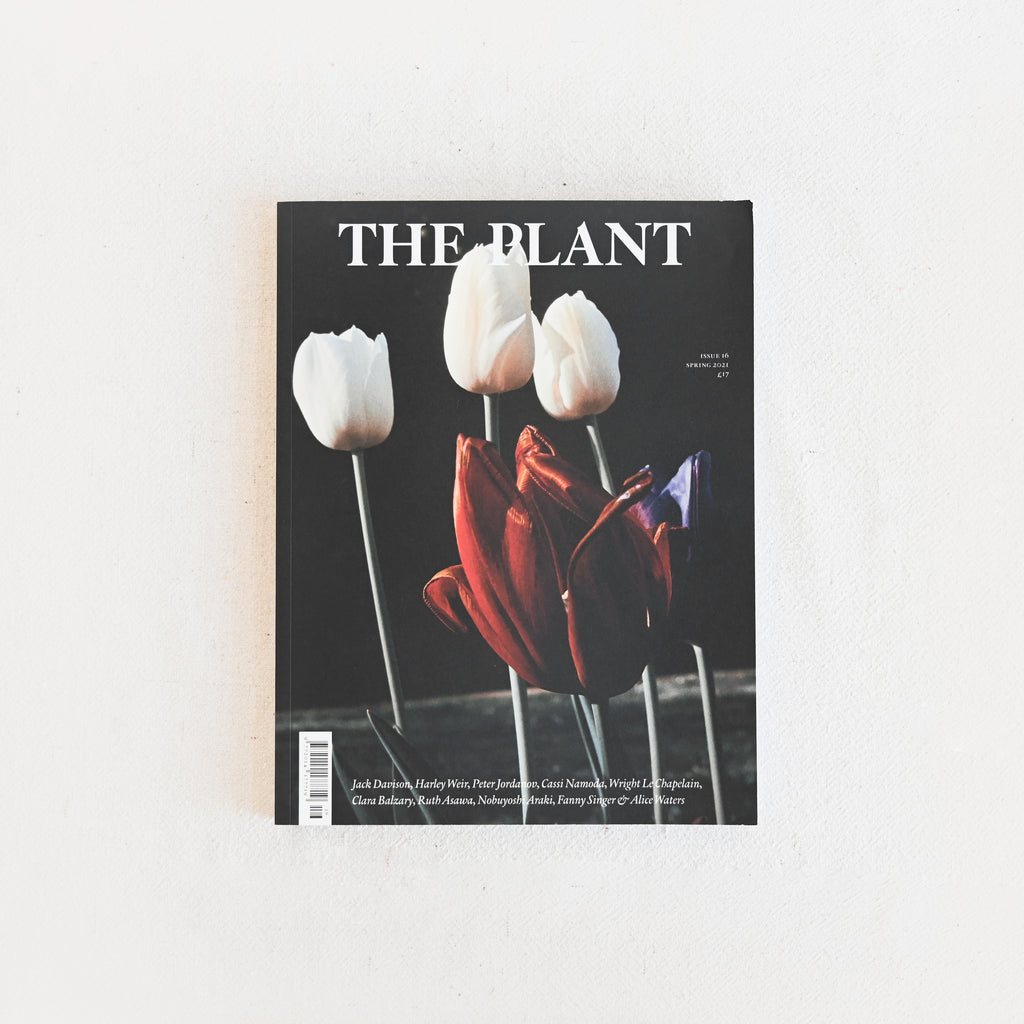 The Plant - Issue 16