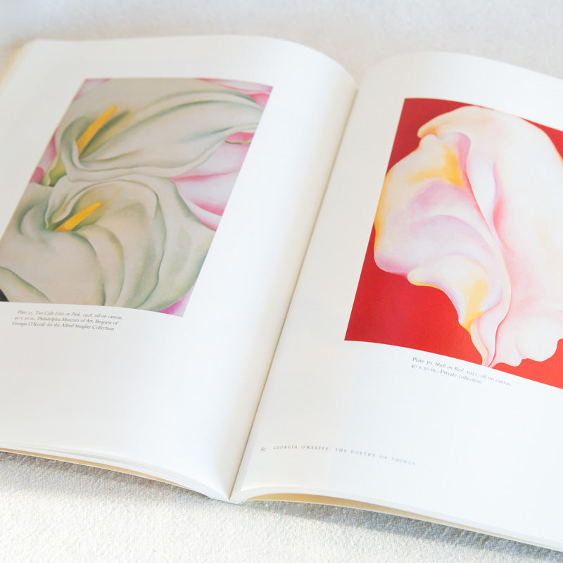 Georgia O'Keeffe - The Poetry of Things