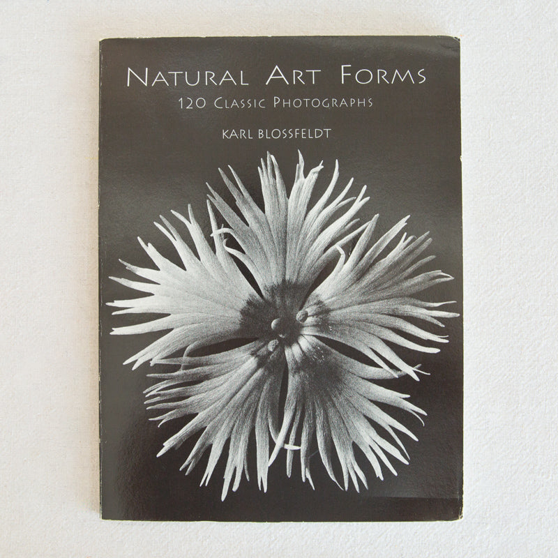 Natural Art Forms