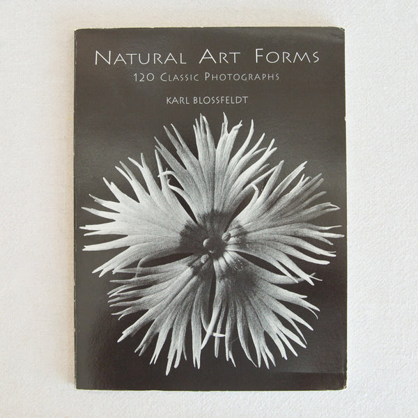 Natural Art Forms