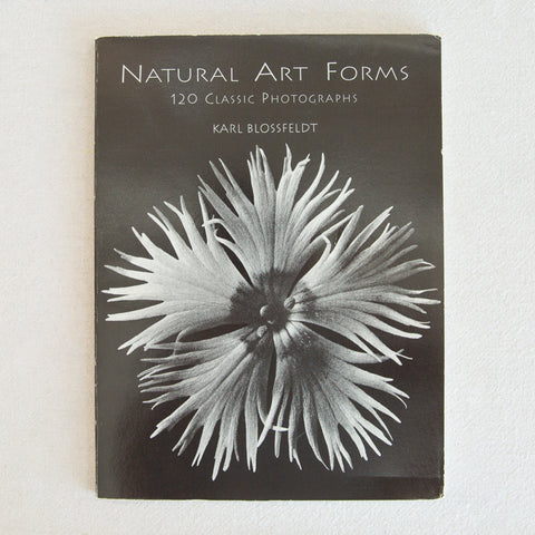 Natural Art Forms