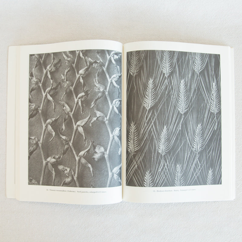 Natural Art Forms